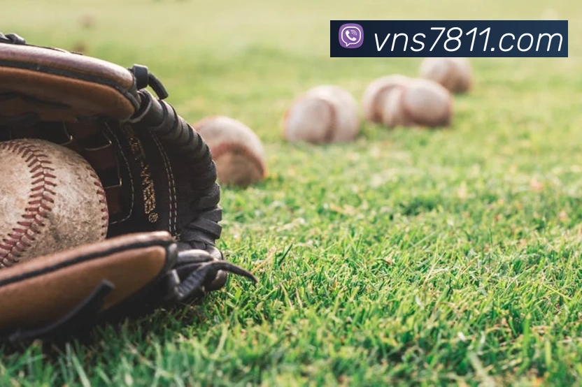 威尼斯娱乐网站APP 封面图